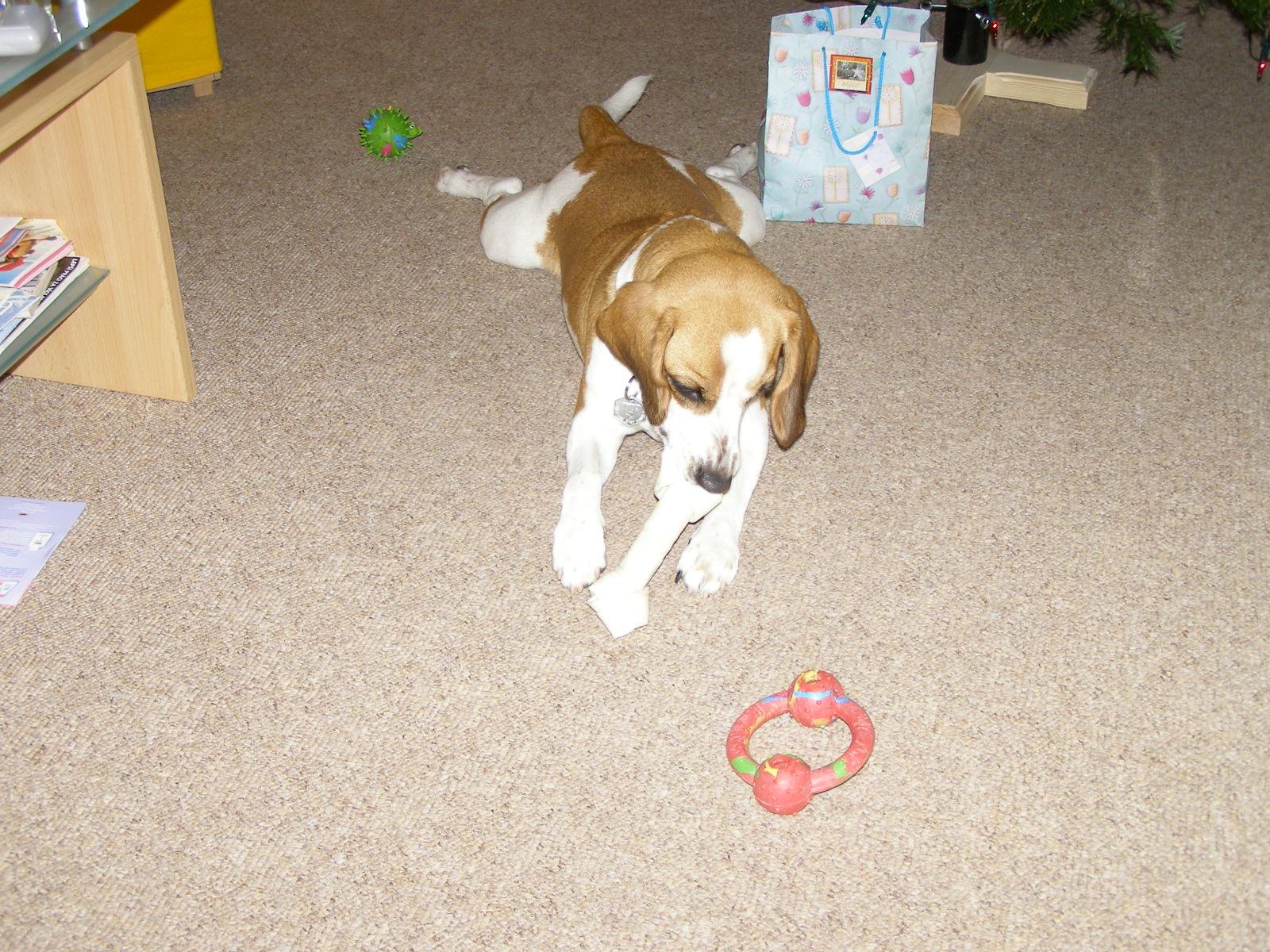 Malý ultrazoom Olympus SP-500