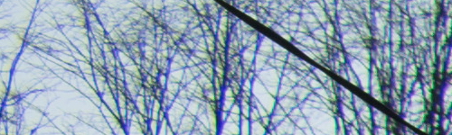 Nikon AF-P NIKKOR 18-55mm f/3.5-5.6G VR