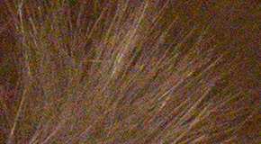 Nikon D3300: drobek se silným srdcem