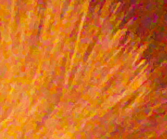 Fujifilm FinePix HS10: ultrazoom roku?