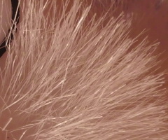 Sigma DP2: otestovali jsme Foveon!