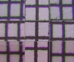 Canon PowerShot SX120 IS: zraje jako víno