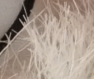 Sony A7R II (ILCE-7RM2): detaily na druhou