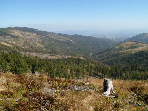 Samsung PL210: levně s grácií