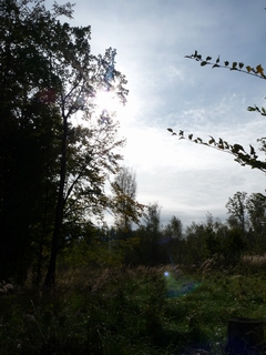 Panasonic Lumix FZ28: o krok blíže dokonalosti