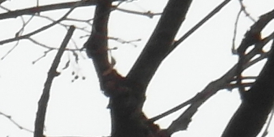 Samsung EX2F: významný krok vpřed