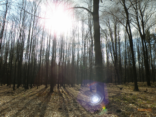 Olympus SP-570UZ: uspěje první 20× ultrazoom v testu?