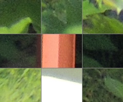 Nikon Coolpix P510: lovec rekordů