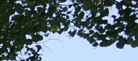 Samsung 16-50mm 1:3.5-5.6 ED OIS Power Zoom