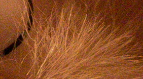 Canon PowerShot G1 X Mark II: významné zlepšení