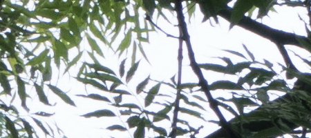 Samsung 16-50mm 1:3.5-5.6 ED OIS Power Zoom