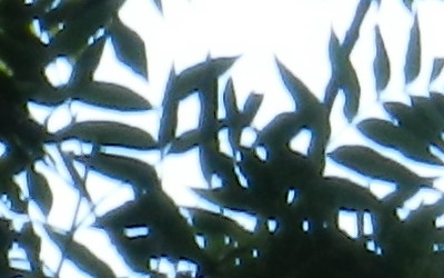 Nikon Coolpix P500: univerzální dalekohled