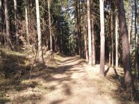 Olympus Camedia C-470 Zoom: Americký D-590