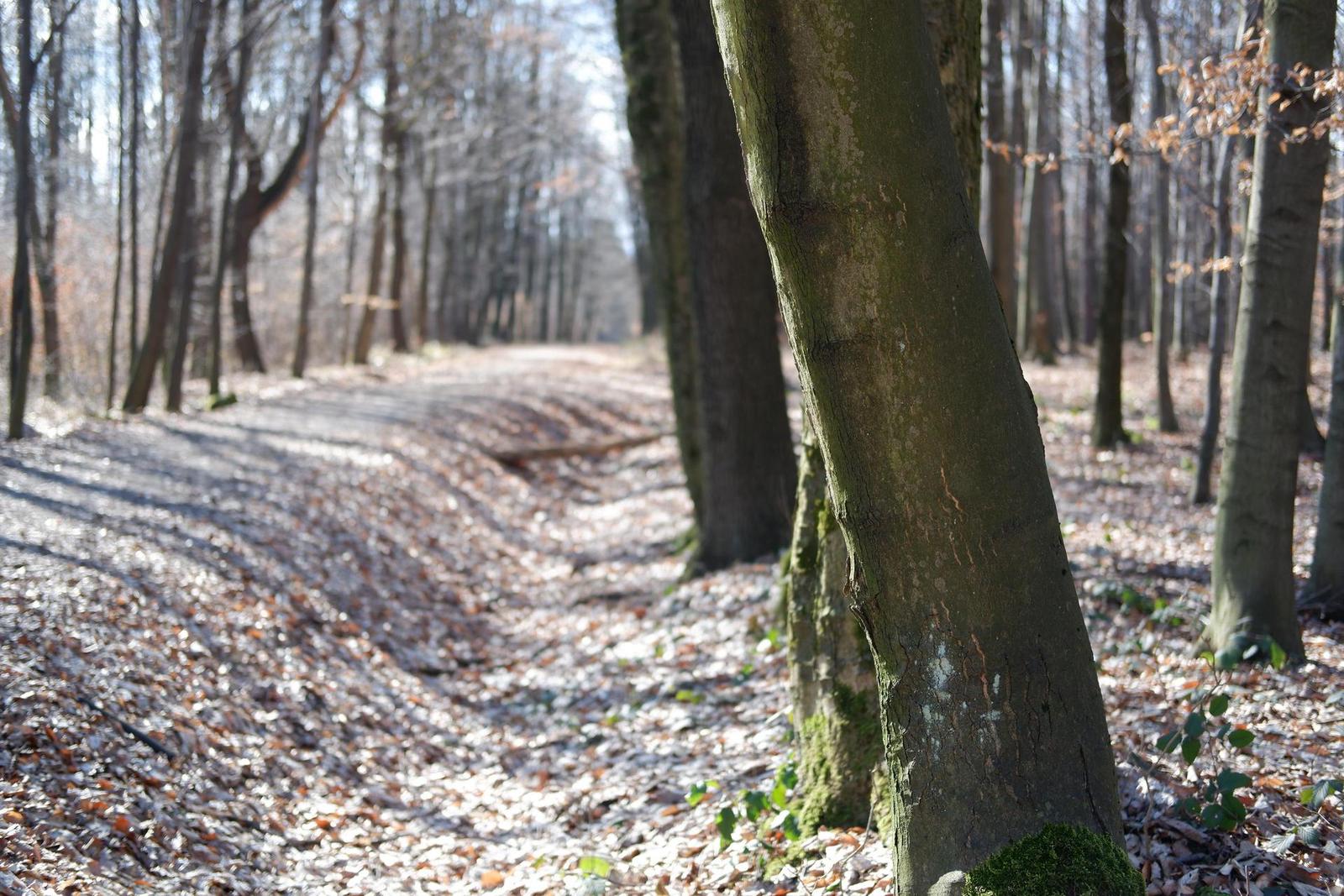 Fujinon XF 35mm F2 R WR