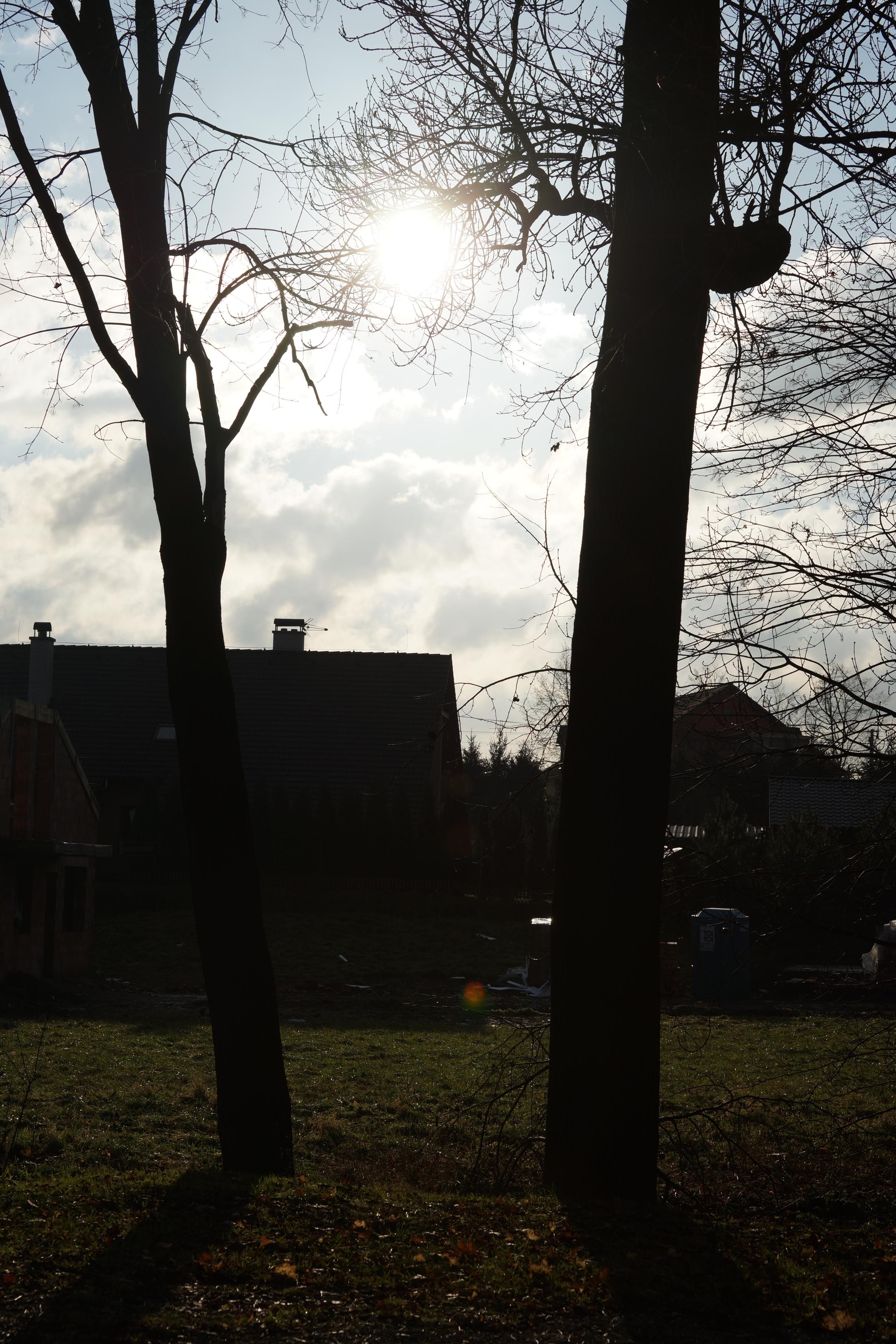 Sony SLT-A99V: opětovný útok