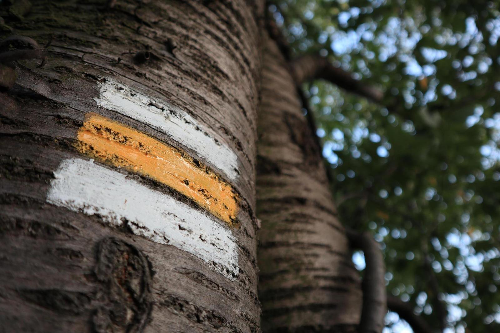 Canon EF-M 15-45mm f/3.5-6.3 IS STM