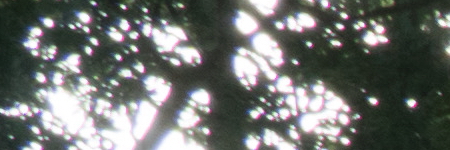 Sony E PZ 18-105mm F4 G OSS (SELP18105G)