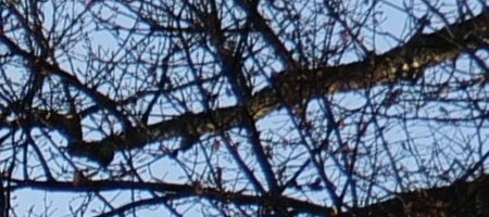 Panasonic Lumix S 20-60mm F3.5-5.6