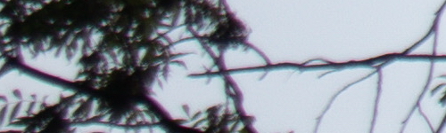 Canon EF-M 15-45mm f/3.5-6.3 IS STM