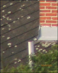 Stativ - nejlepší přítel fotografa