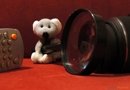 Fotíme s Koalou: Makro a telemakro