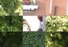 Nikon Coolpix B700: přírodovědec