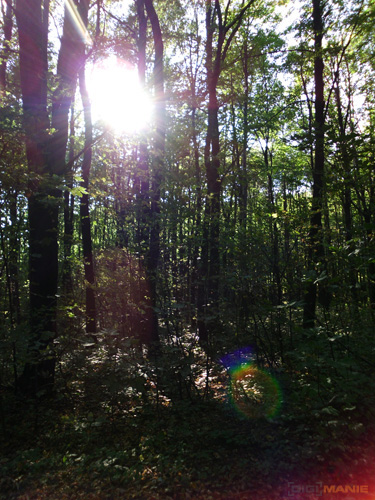 BenQ DC T1260: přítel citlivé peněženky