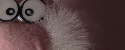 Nokia 808 PureView: mobilní zrcadlovkobijec