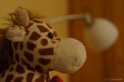 Sony NEX-5N: téměř ideální NEX