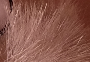 Fujifilm X-M1: našlapaná stylovka