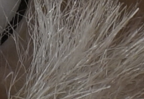 Sony SLT-A58: silný základ