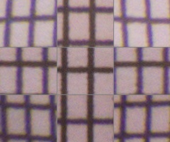 Panasonic Lumix FZ200: ultrazoomové překvapení roku