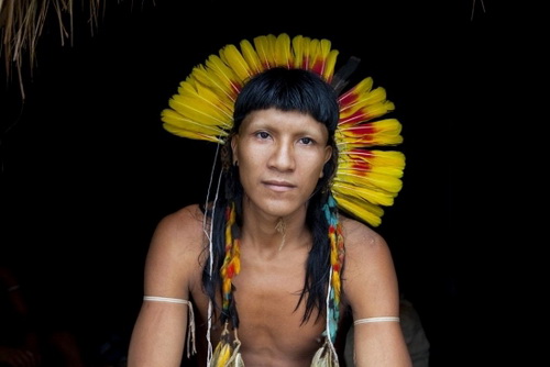 Interaktivní výstavy Daniela Beltrá pro záchranu pralesů