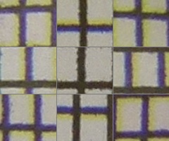 Panasonic Lumix FZ45 a FZ100: na vrcholu