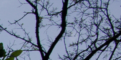 Nikon Coolpix A: velmi příjemná (ne)výraznost