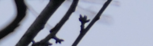 Panasonic Lumix FZ2000: ultrazoom nebo profi kamera?