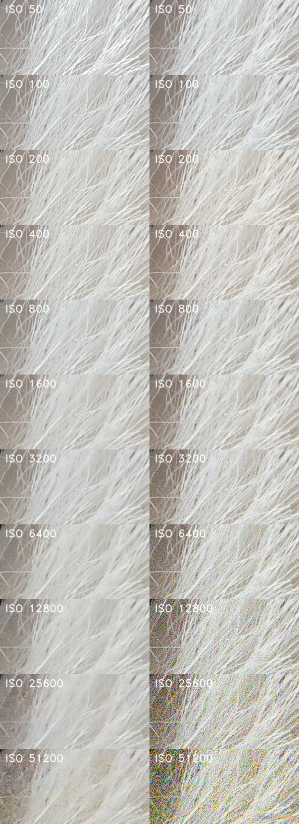 Panasonic Lumix S1R: sebevědomý vstup do FF