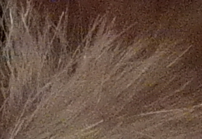 Samsung NX300: spousta kroků vpřed, jeden vzad