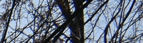 Nikon AF-P NIKKOR 18-55mm f/3.5-5.6G VR