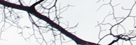 Canon PowerShot G1 X Mark II: významné zlepšení