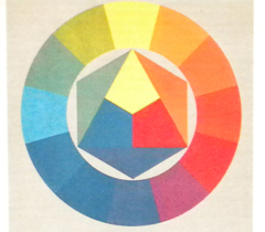 Nikon Coolpix L100: lovec hmyzu