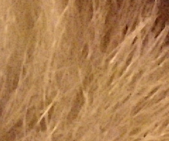 Samsung NX100: "zrcadlovka" do kapsy