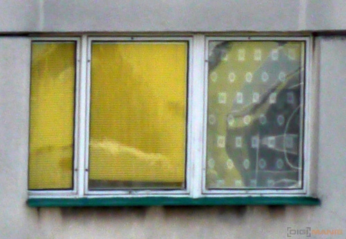 Fotíme s Koalou: Clona