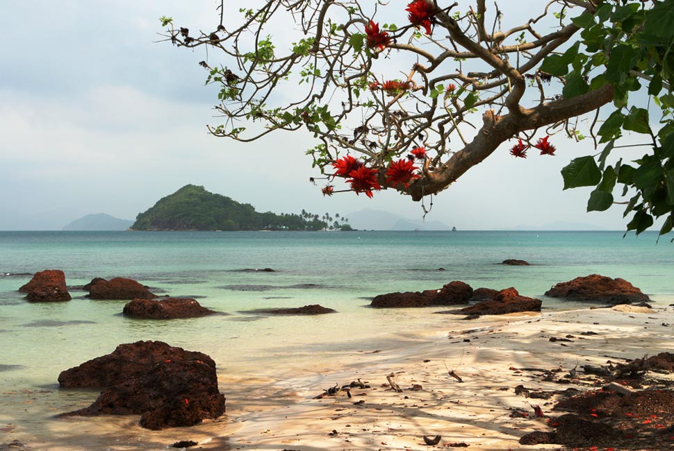 Cesta ke kvalitní fotografii: 1.díl