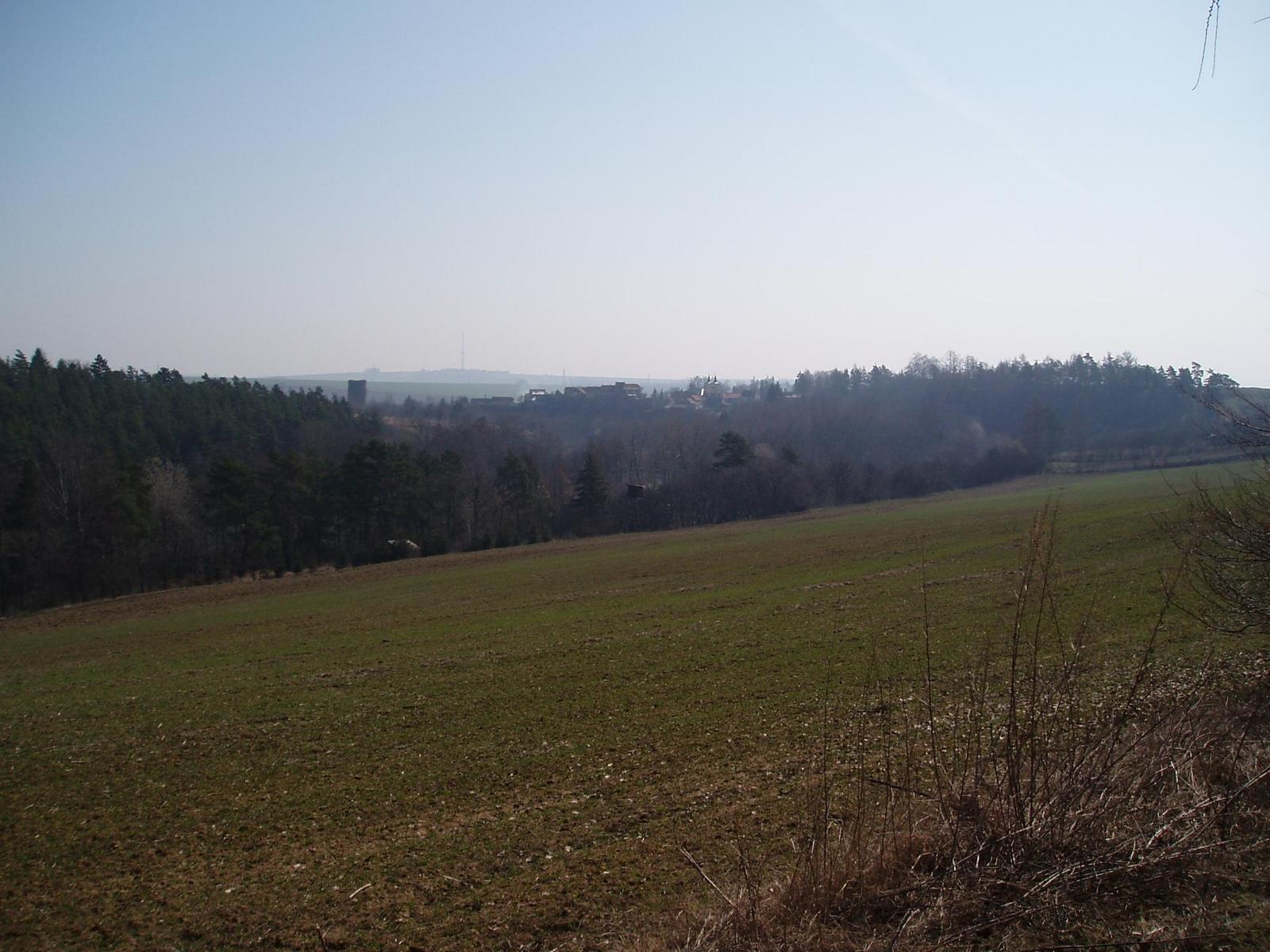 Olympus Camedia C-470 Zoom: Americký D-590