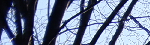 Fujinon XF 35mm F2 R WR