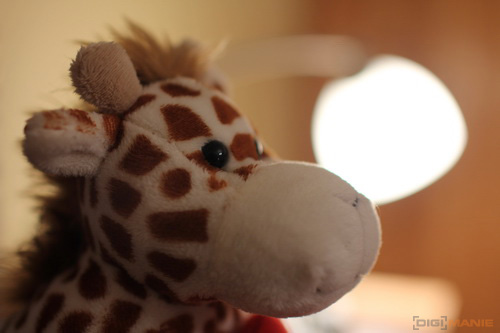 Canon EOS 60D: na pomezí dvou světů