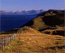 Tip Digimanie pro 32. týden roku 2005 - Tony Howell