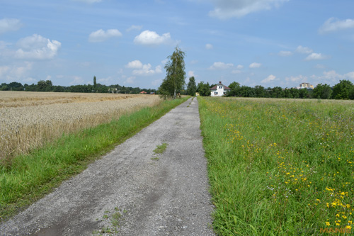 Nikon 18-55mm f/3,5-5,6G AF-S DX VR