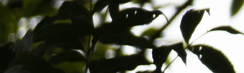 Panasonic Lumix S Pro 70-200mm F4 O.I.S.